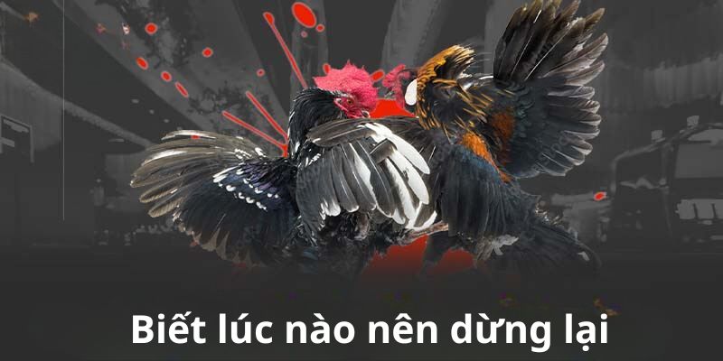 Biết lúc nào nên dừng lại