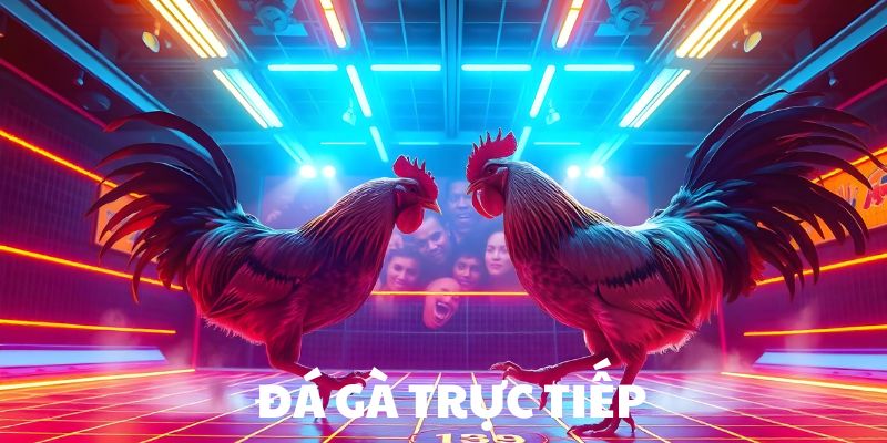 Đá gà trực tiếp tại Daga88