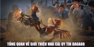 Giới thiệu Daga88