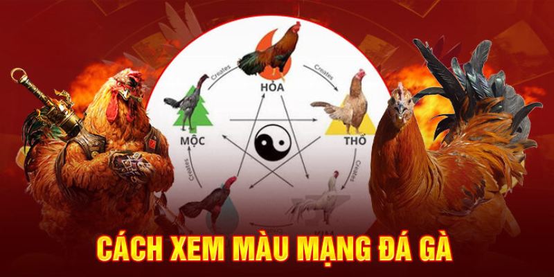 Hướng dẫn cách xem màu mạng của chiến kê khi thi đấu