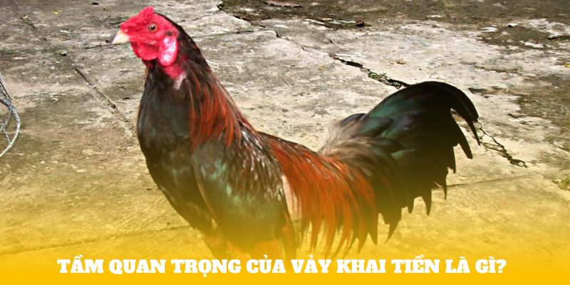 Tầm quan trọng của Vảy khai tiền là gì?