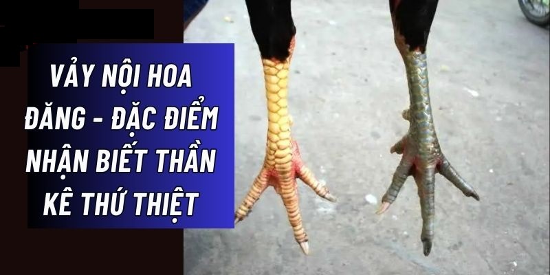 Loại vảy hiếm thường xuất hiện ở nhiều vị trí